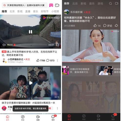 娱乐吃瓜酱点评视频大全,盘点热门视频，揭秘娱乐圈幕后真相